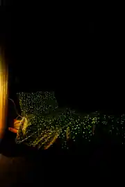 La Notte Ribbon Çok Renkli %100 Pamuk Çocuk Nevresim Seti 160x220 cm 3