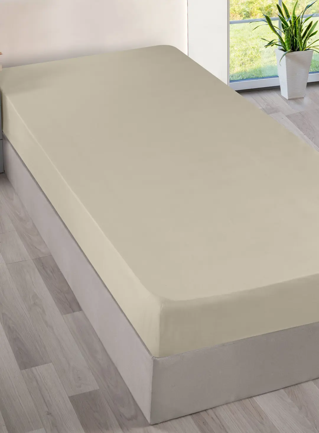 Cotton Collection Ranforce Çift Kişilik Çarşaf Düzboya Krem