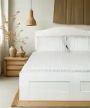 Cotton Collection Tek Kişilik Nevresim ve Çarşaf Seti Rayuna 4
