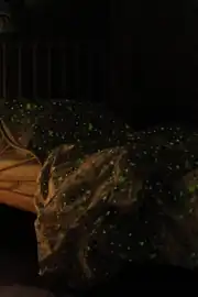 La Notte Fairy Çok Renkli %100 Pamuk Çocuk Nevresim Seti 160x220 cm 7